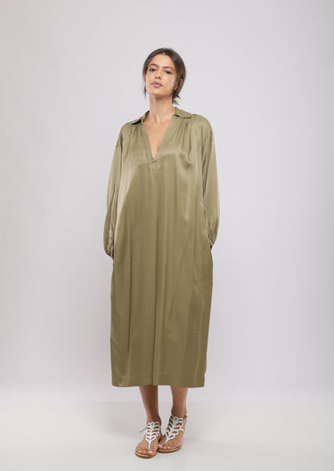 #color_olive_green