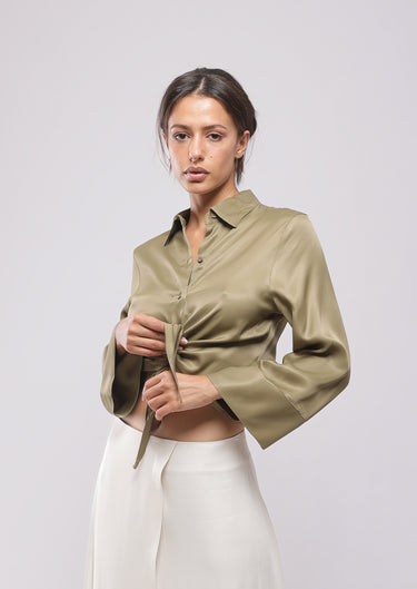 #color_olivegreen