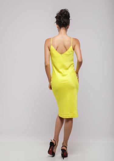 #color_Mimosa